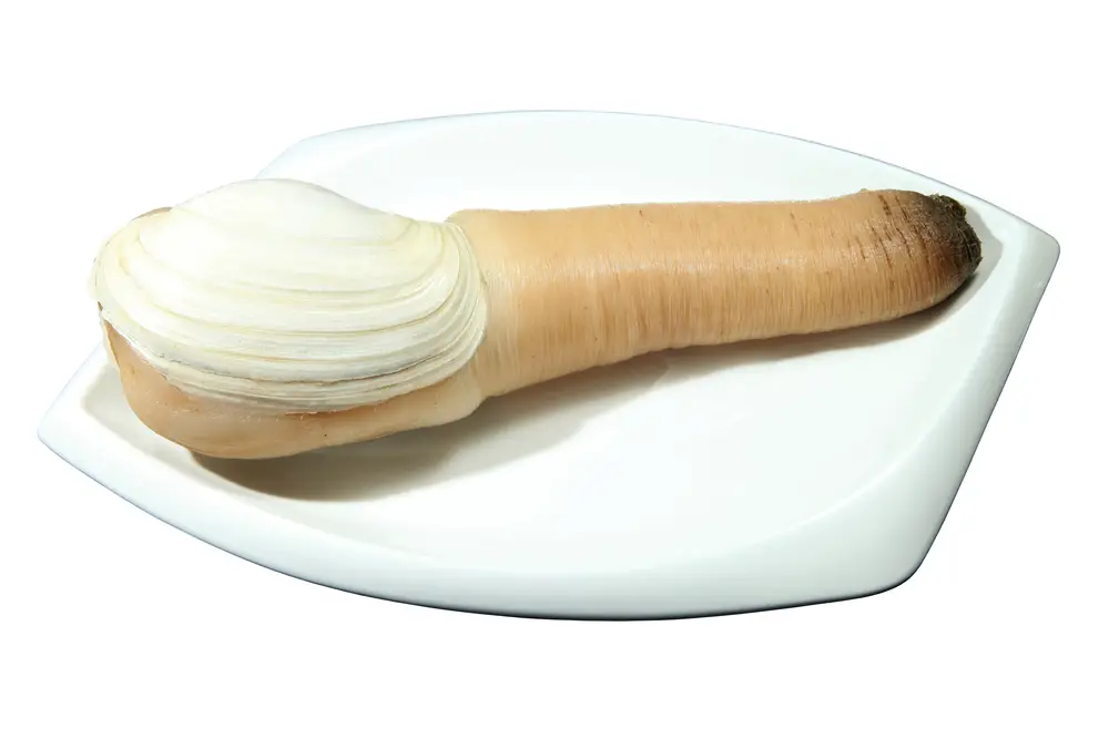 Geoduck Recipe