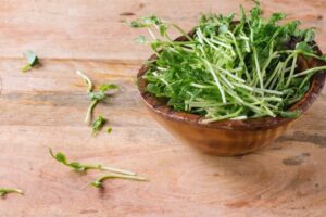 Pea Sprouts Recipe