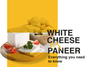 White cheese vs paneer Everything you need to know