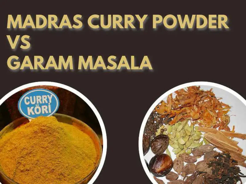 madras curry vs garam masala