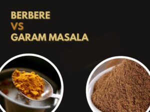 Berbere vs Garam Masala (2)
