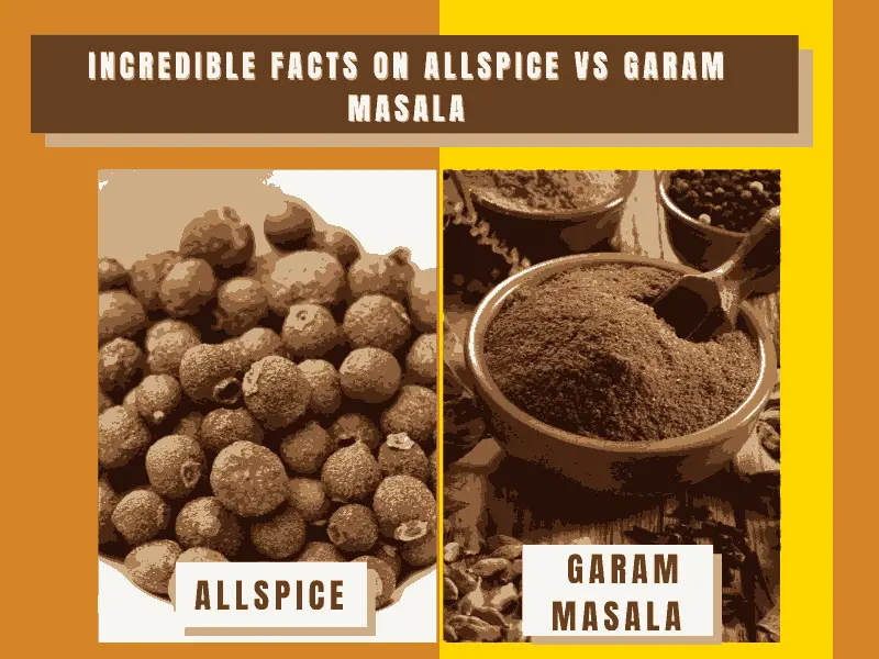 allspice vs garam masala