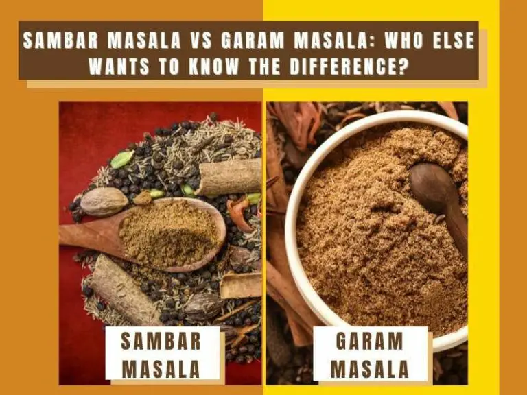 Sambar Masala vs Garam Masala Who Else Wants To Know The Difference